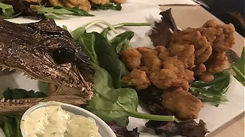 Fried pickles and gator bites on platter with gator head at Red Wing Restaurant