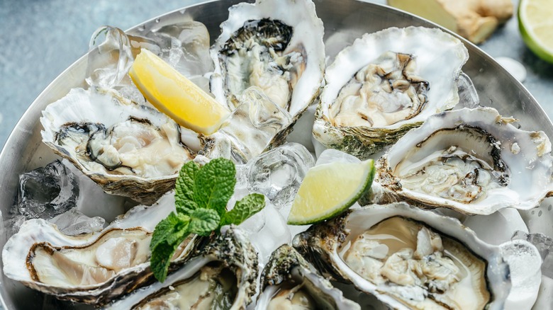 Fresh oysters on plate 