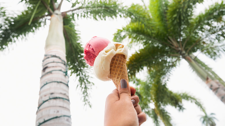 Ice cream in Florida with palm trees behind the scoops