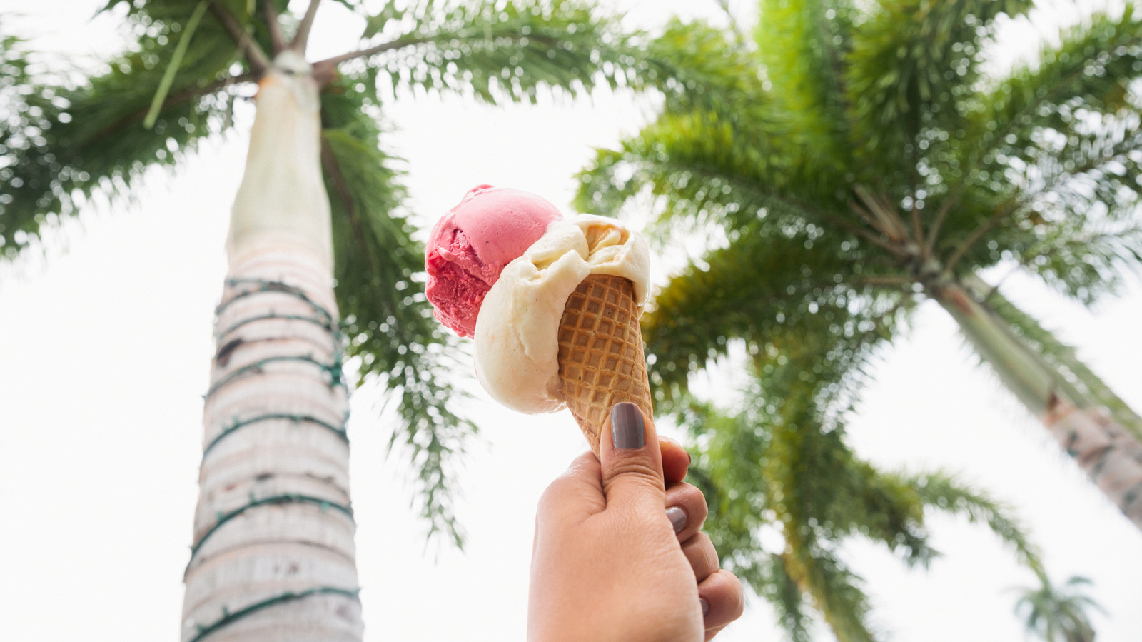 Florida's 11 Best Ice Cream Shops