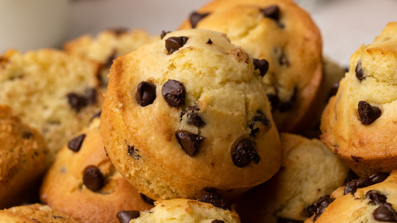 close up of chocolate chip muffins 
