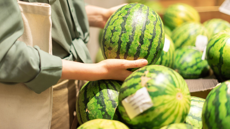 watermelon at grocery store