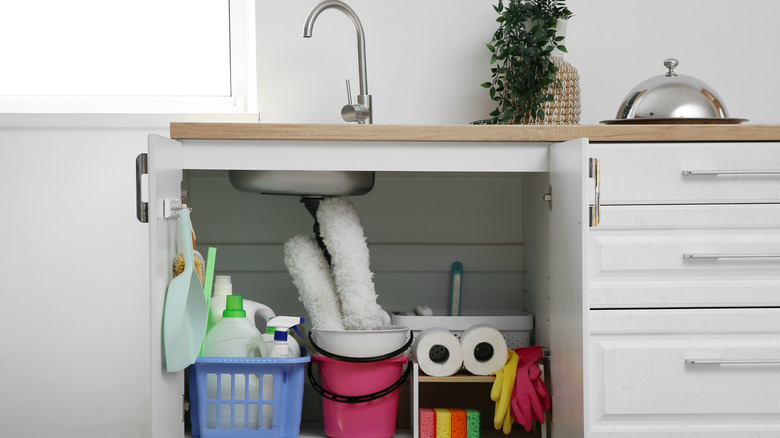 Different cleaning supplies stored under sink in kitchen