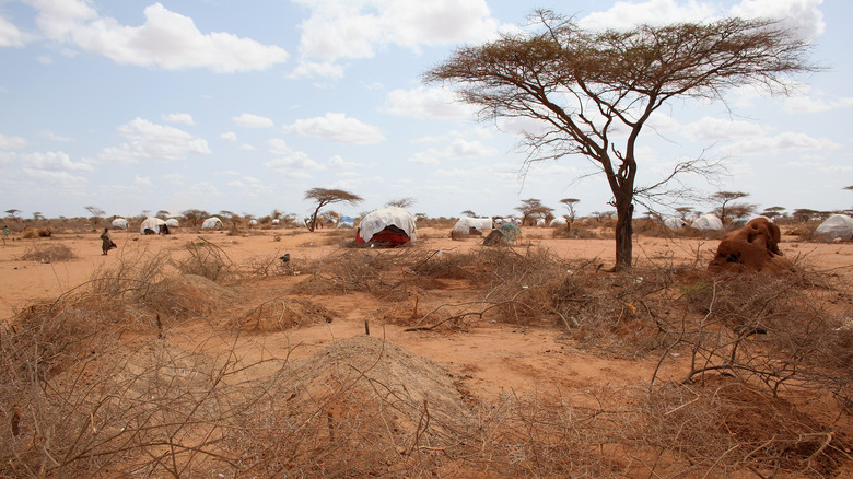 refugee camp drought Kenya
