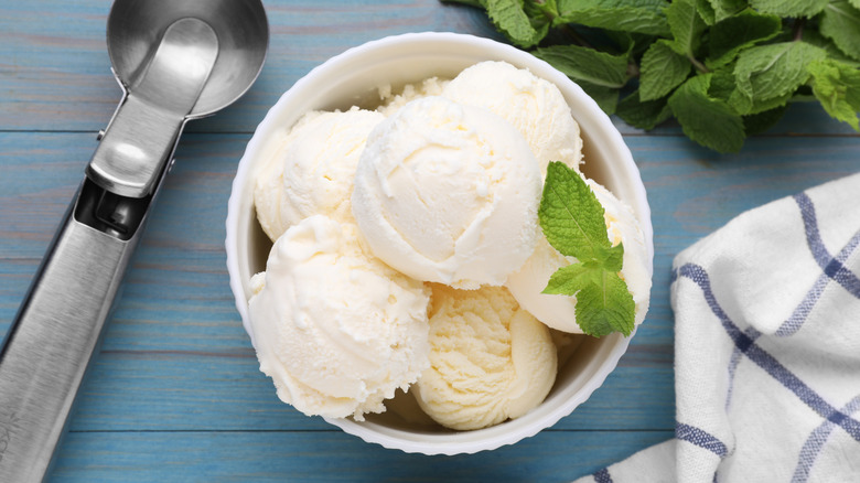 Bowl of vanilla ice cream garnished with sprig of mint