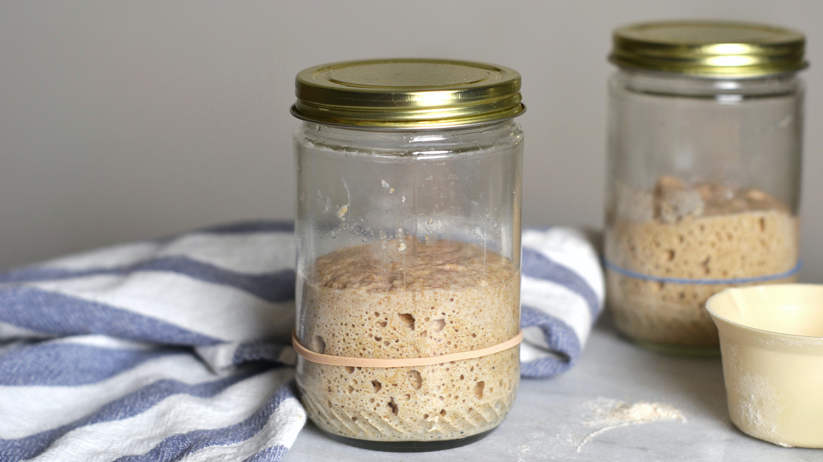 How to feed sourdough starter