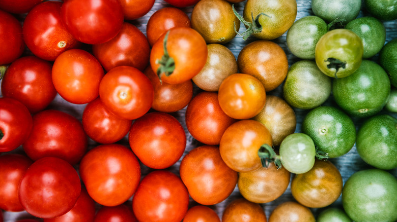 Tomatoes arranged in a ripeness spectrum from red to green