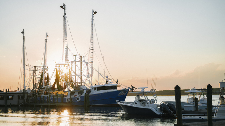Fishing boats at Hilton Head Island