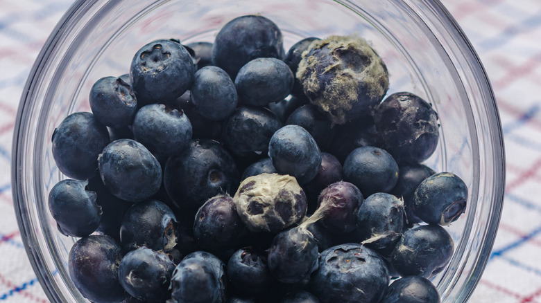 Moldy blueberries in a bowl