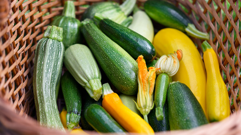 Pile of whole zucchini in basket.