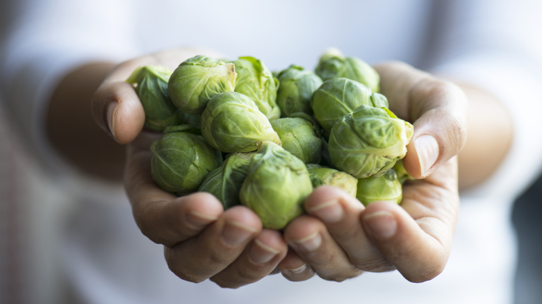 Brussels Sprouts in a couple of hands