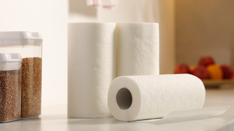 Rolls of paper towels on kitchen counter