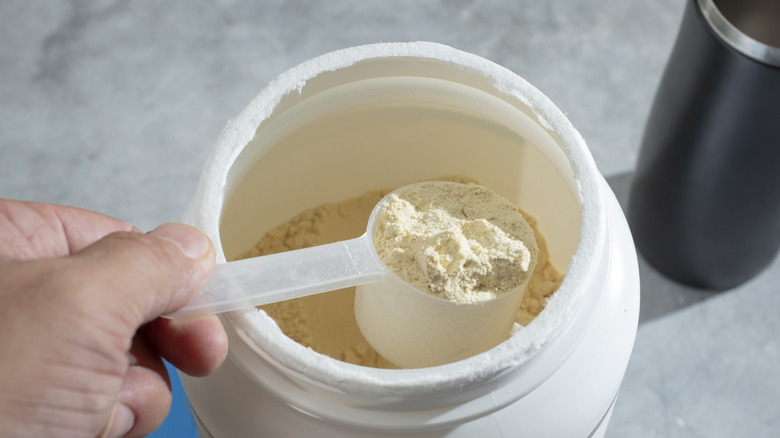 Someone pulling a scoop of protein powder out of a large, white container