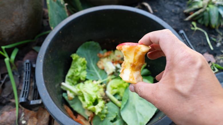 Someone adding a used apple core into a bucket of other compost items
