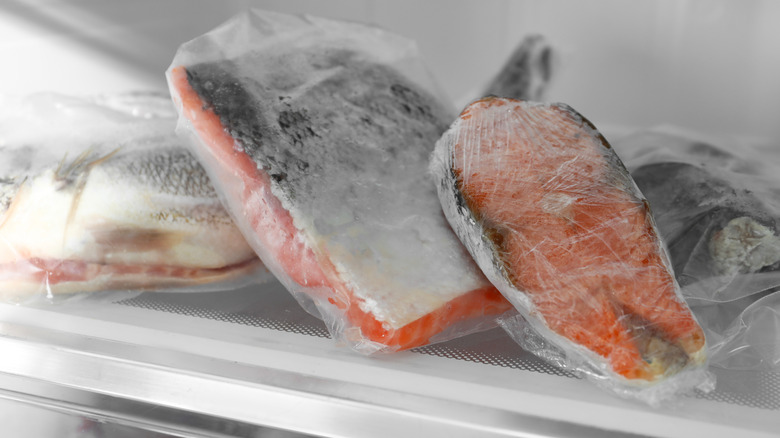 Different frozen fishes in plastic bags on refrigerator shelf, closeup