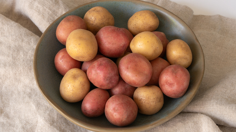 Assorted potatoes in a bowl over a napkin