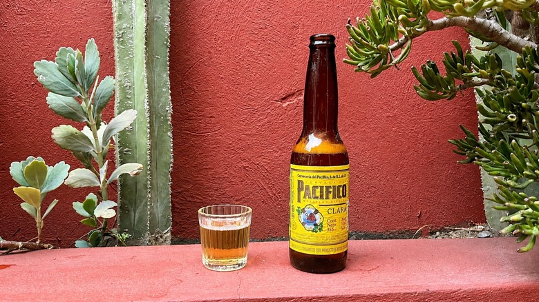 Bottle and glass of Pacifico Clara