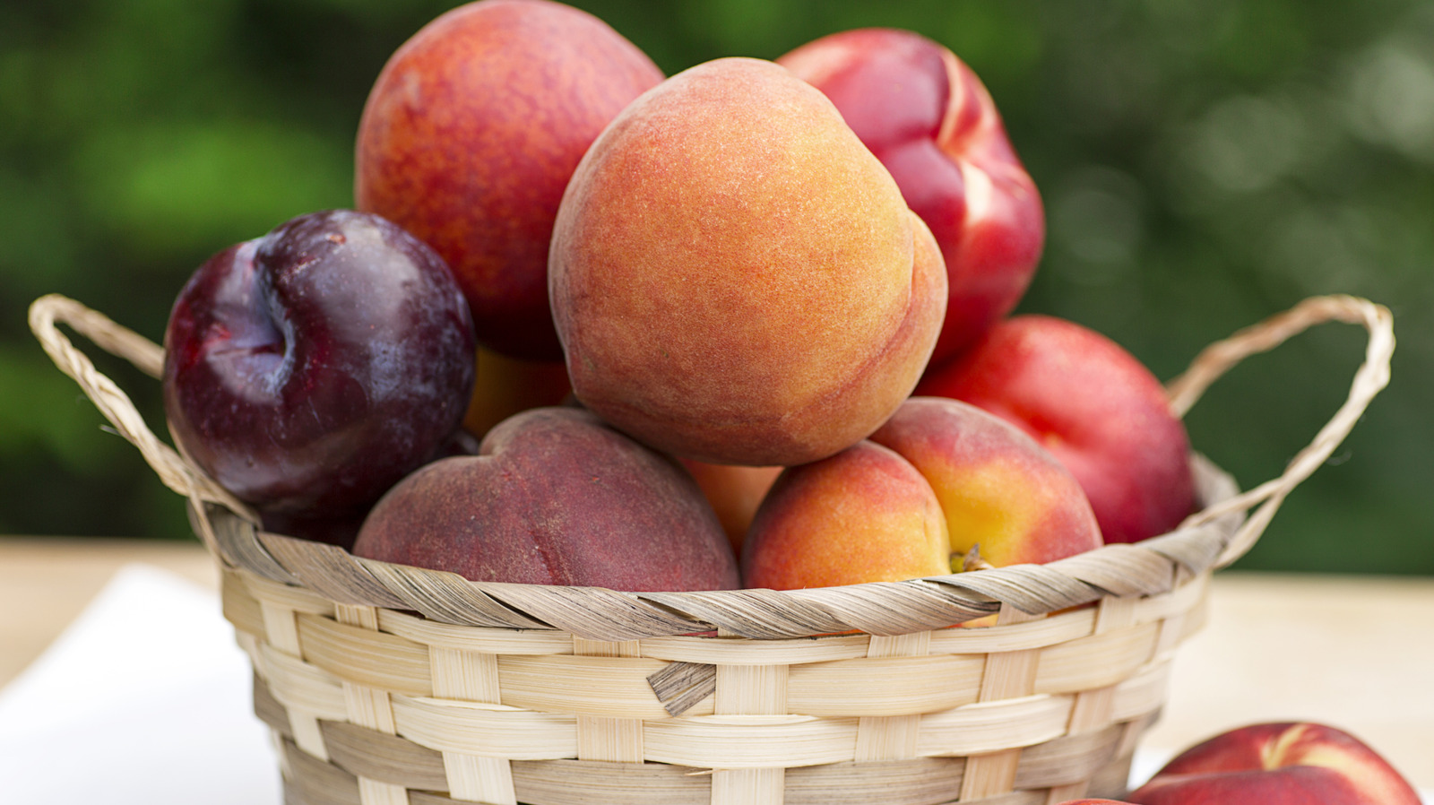 Forget Peaches — This Other Stone Fruit Tree Is Just As Plentiful And Easy To Grow
