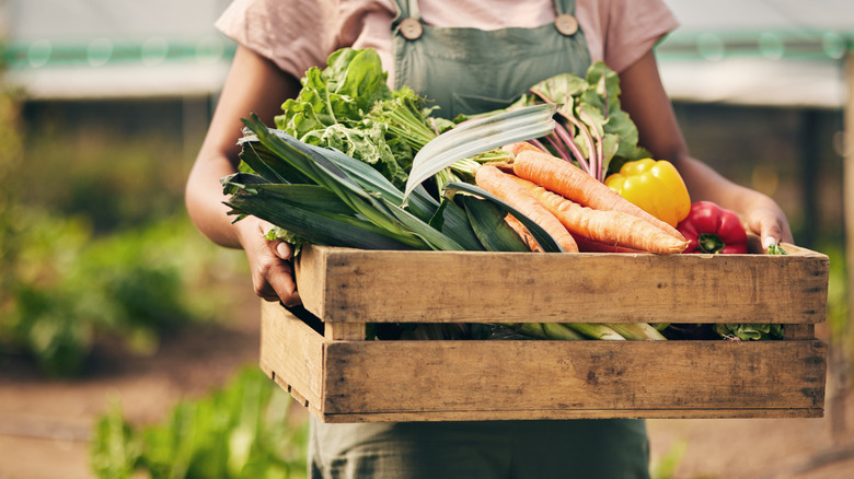 A farmer holding a wooden box full of fresh produce