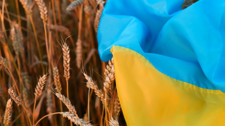Wheat with the Ukrainian flag