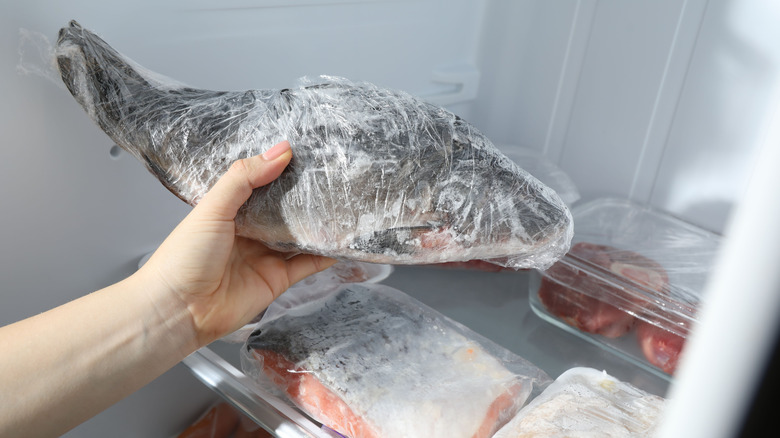 A person holds a whole frozen fish in a freezer