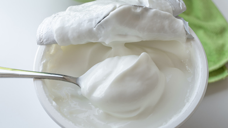 healthy fresh greek yogurt