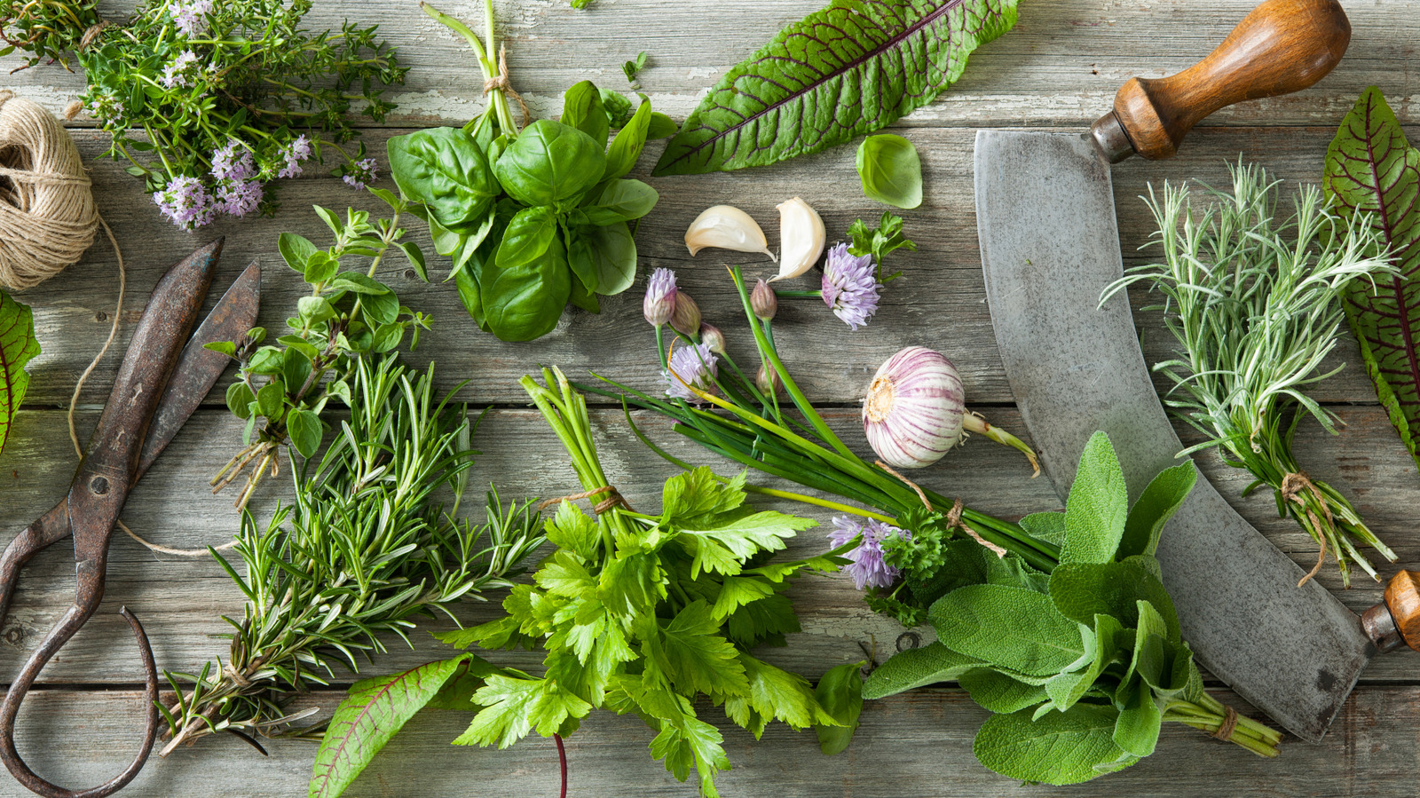 When Cooking With Fresh Herbs And Garlic, Always Use This Mincing Rule