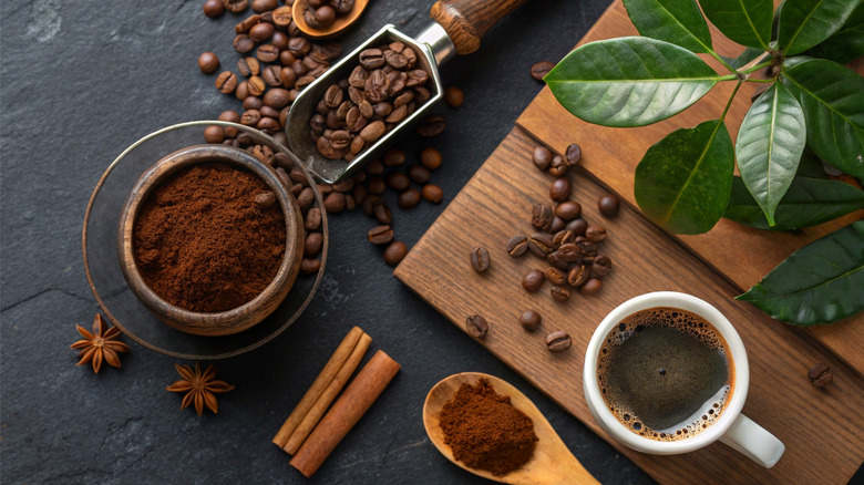 An overhead view of coffee preparation tools
