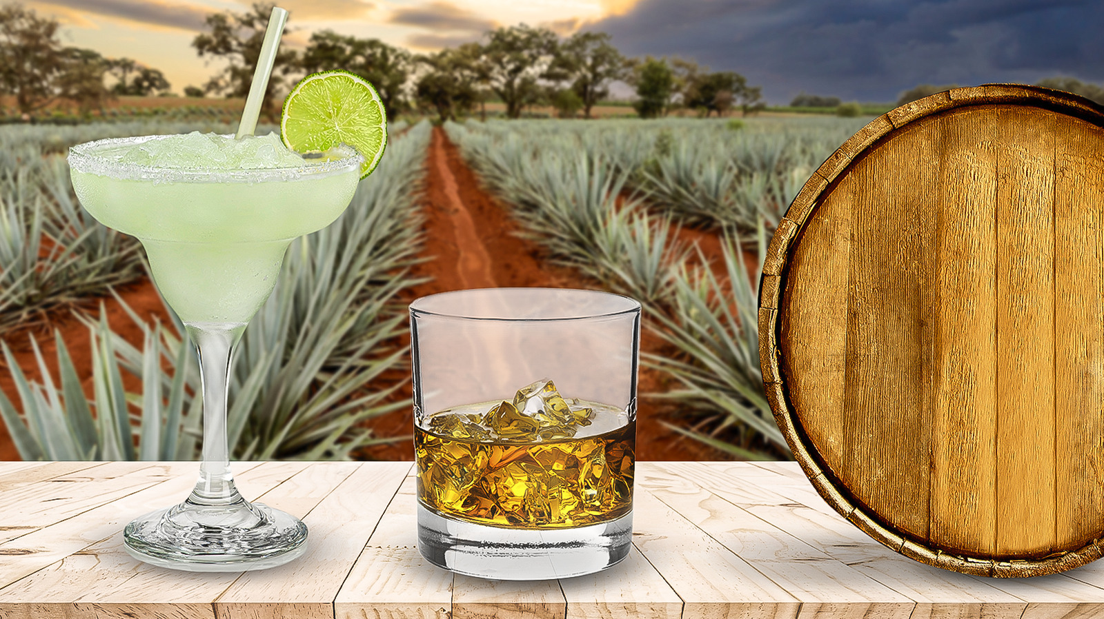 From Agave To Your Glass: Everything You Need To Know About Making, Drinking, And Actually Enjoying Tequila - Tasting Table