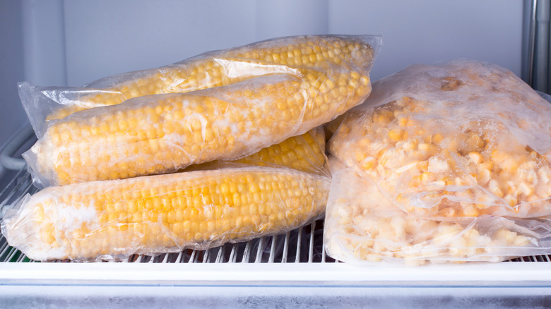 Plastic bags containing corn cobs and shelled corn in freezer