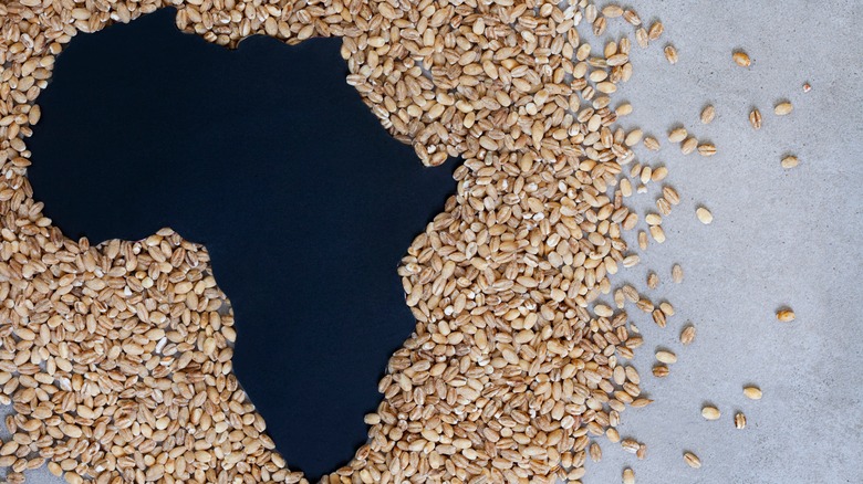 Photo illustration of Africa and wheat grains