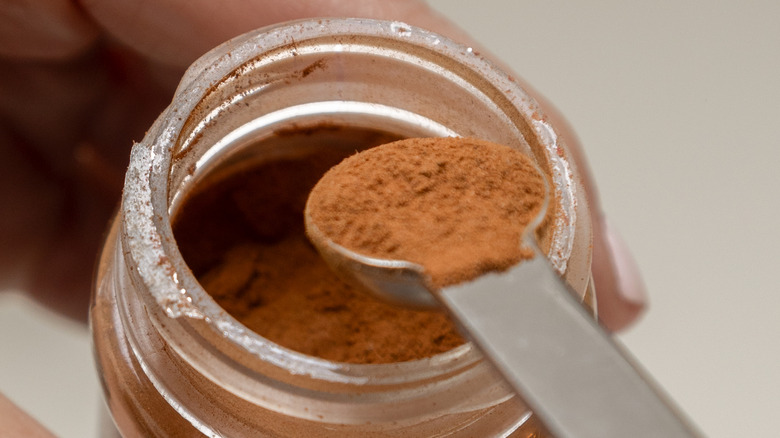 A person holding a jar of cinnamon, measuring out a teaspoon full