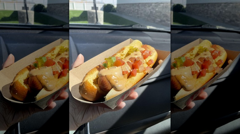 Someone holding a loaded hot dog in a car
