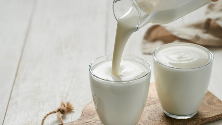 Pouring thick buttermilk into a cup