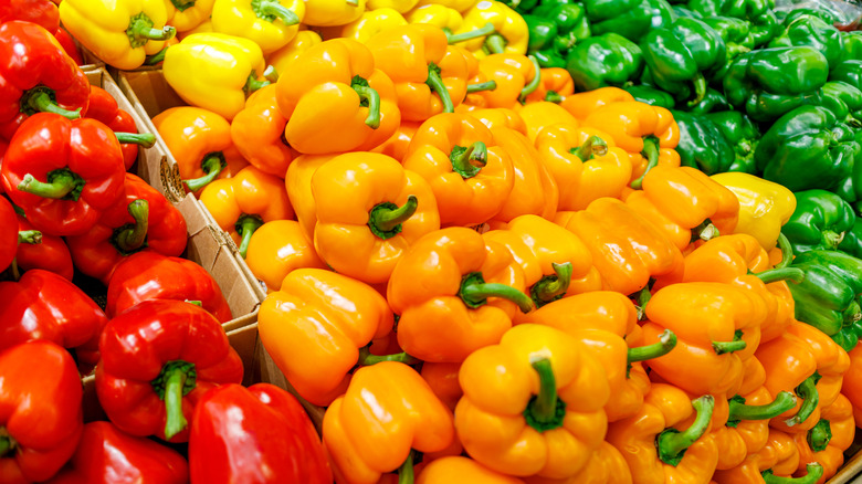 Piles of red, yellow, and green peppers sit in cardboard boxes next to each other.