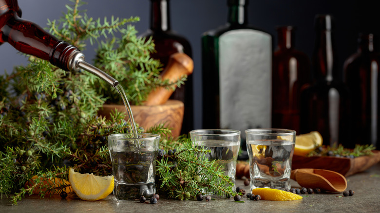 gin poured into shot glasses surrounded by botanicals and lemon wedges.