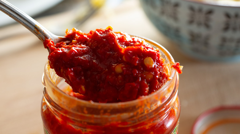 Spoonful of red harissa paste scooping out of jar.