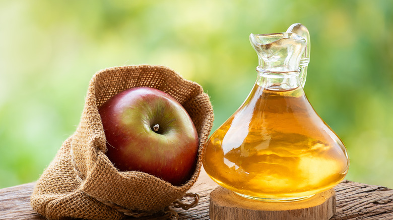 An apple in a small sack sits beside a glass jug of apple cider on a wooden surface, with out-of-focus greenery in the background