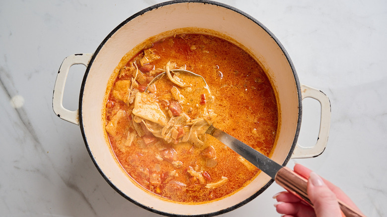 Paprikash chicken and dumplings with ladle