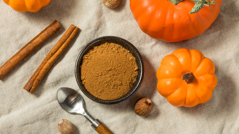 Ground pumpkin spice in a bowl next to cinnamon sticks and a pumpkin
