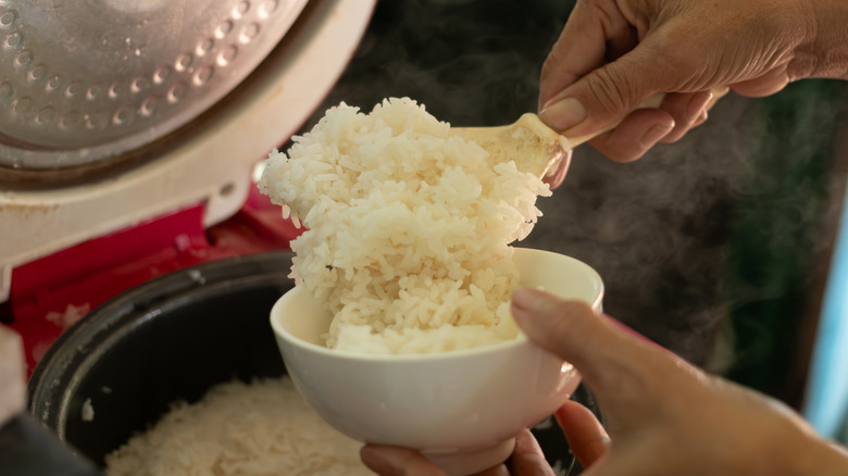 Home cook spooning plain rice from a rice cooker appliance into a bowl