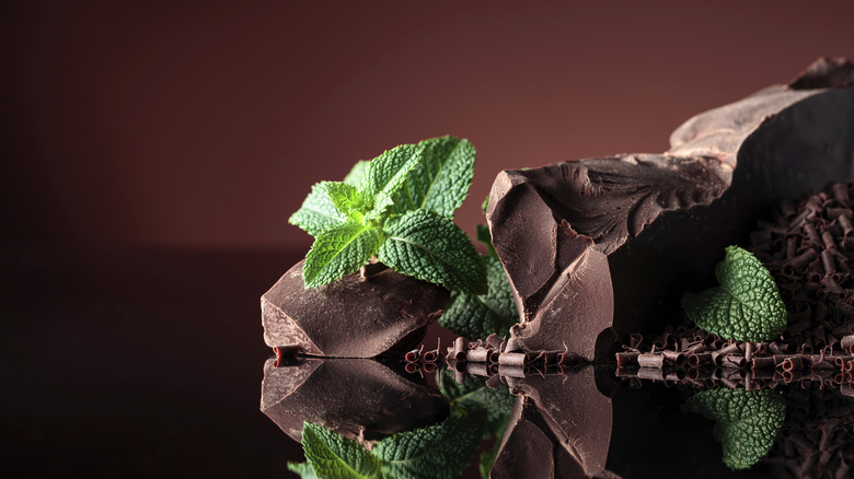 mint leaves with chocolate chunks