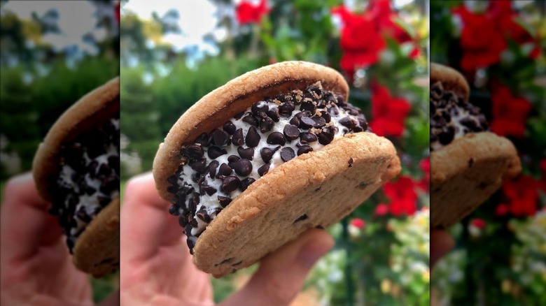 Hand holding Good Humor Chocolate Chip Cookie Sandwich outside.