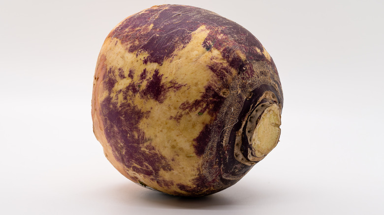 rutabaga root vegetable on white background