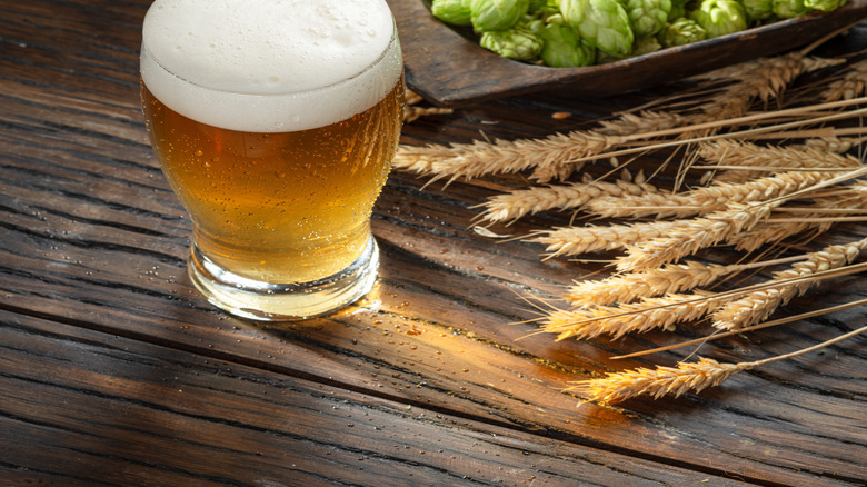 light beer with hops and wheat