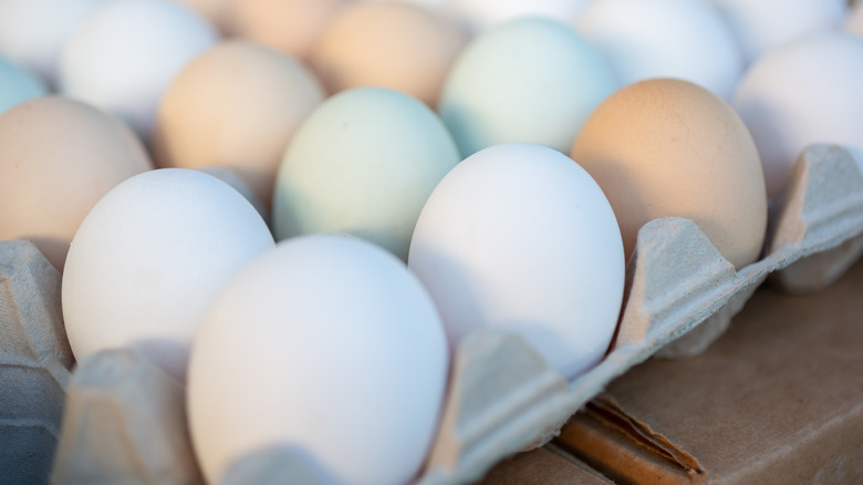 Variety of eggs in egg carton