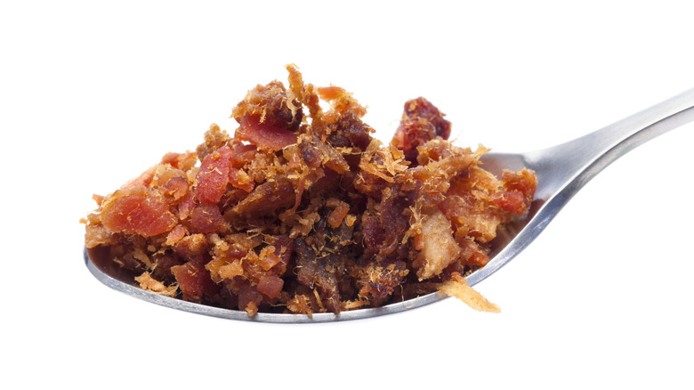 spoonful of bacon bits
