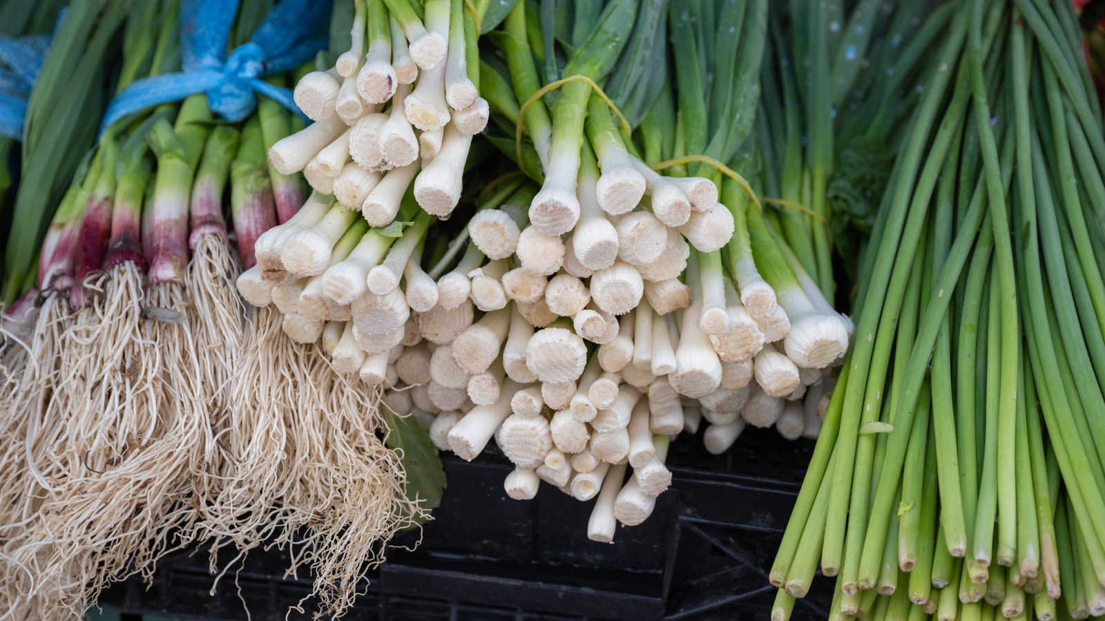 Green Garlic Vs Scallions: What's The Difference?