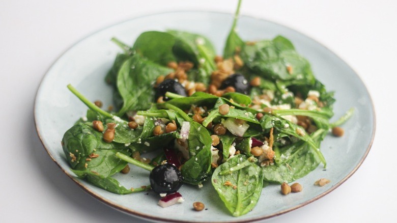 Portion of lentil and spinach salad on plate