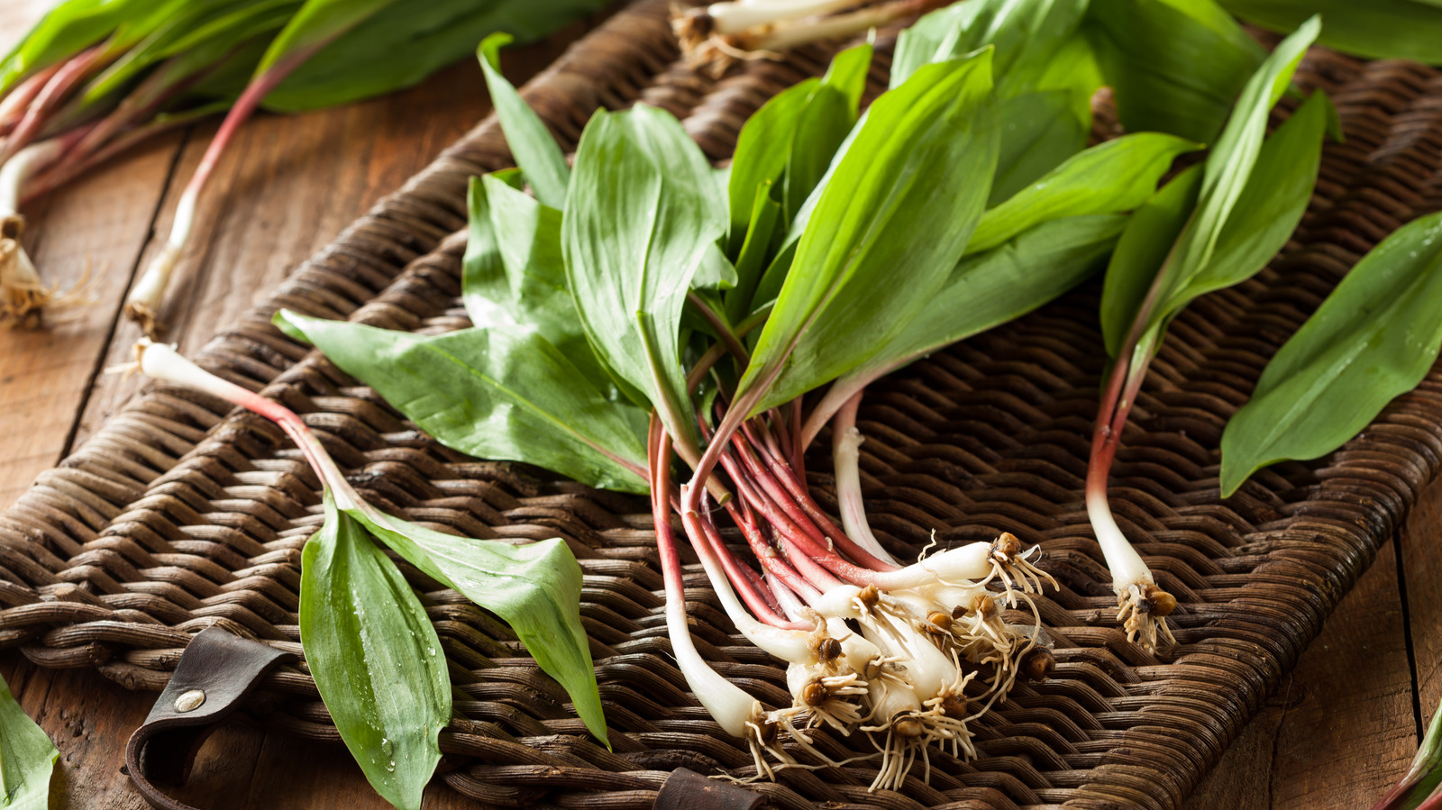 How To Grill Ramps for a Vibrant Seasonal Side Dish